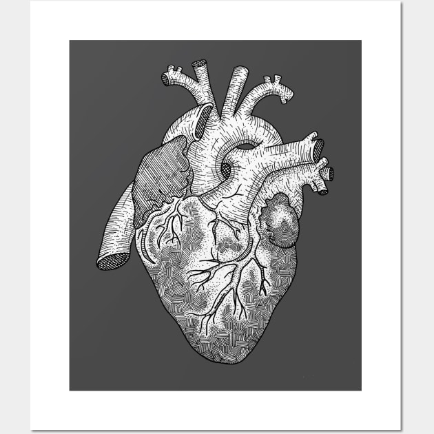 Anatomical Heart Ink Illustration Wall Art by bblane